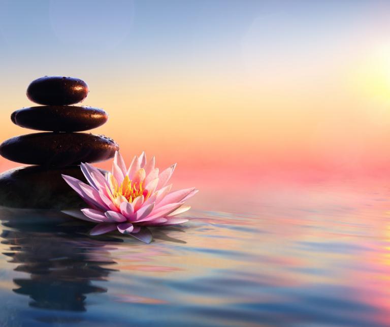 A serene image of a cairn and a flower with a sunset in the background.