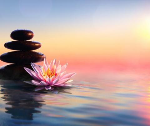 A serene image of a cairn and a flower with a sunset in the background.