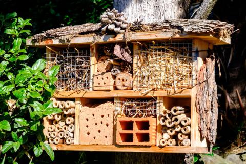 Homemade bug hotel