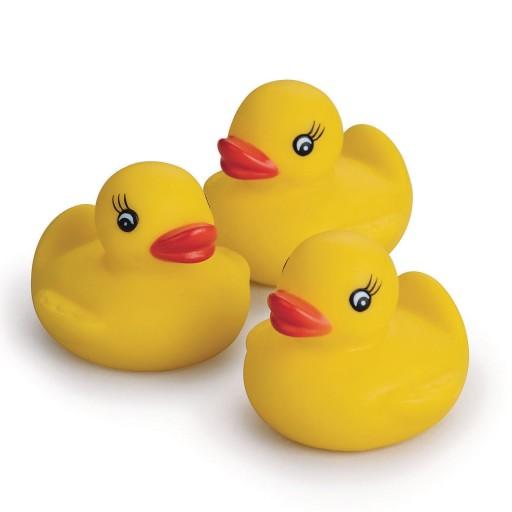 Rubber Duckies