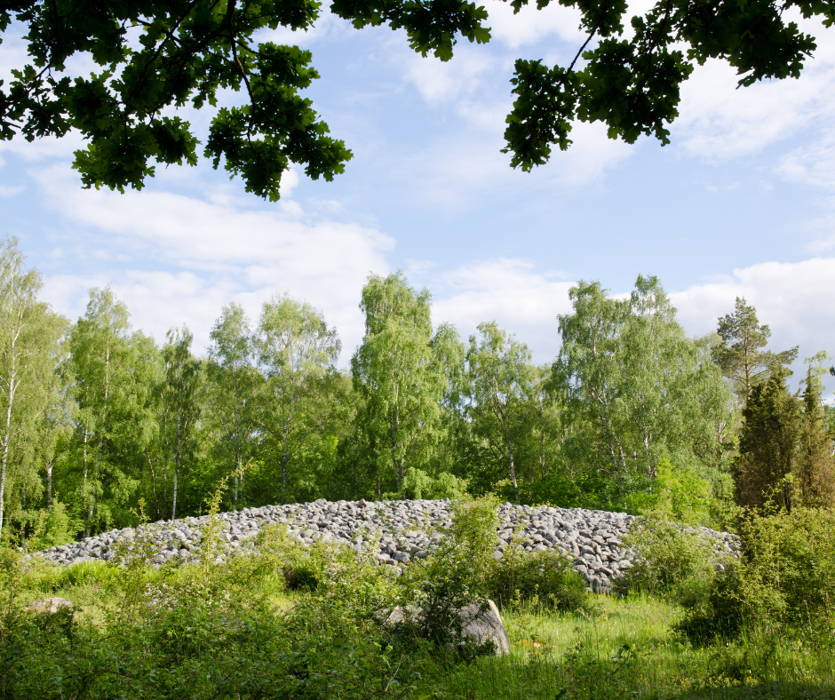 An image of a cresting hill of stones in a forest.