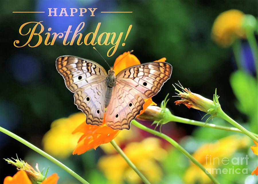 Happy Birthday butterfly photo